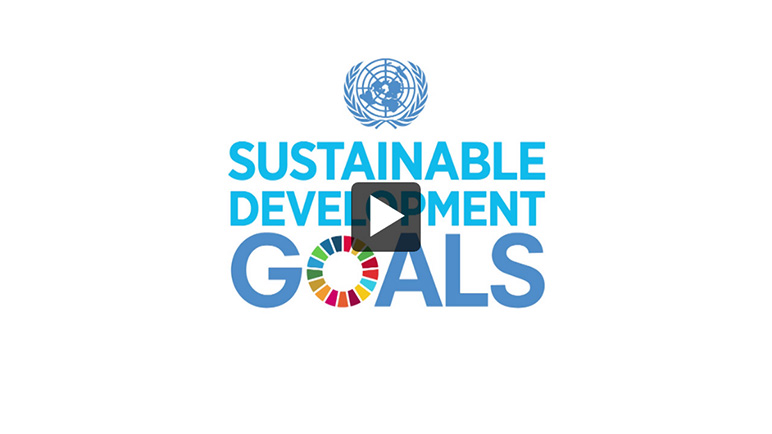 Video: Meeting of the UN Inter-agency and Expert Group on Sustainable Development Goal Indicators