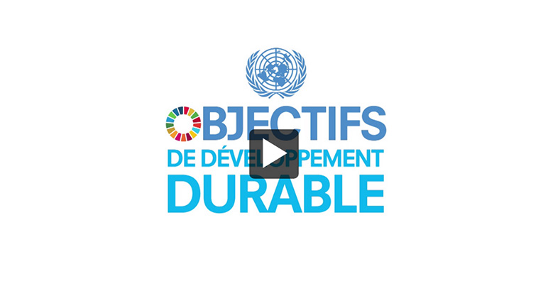 Video: Réunion du Groupe d'experts des Nations Unies et de l'extérieur chargé des indicateurs relatifs aux objectifs de développement durables